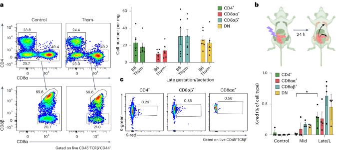 Waggoner Lab (@labwaggoner) on Twitter photo During late gestation, unconventional intraepithelial αβ T cells migrate from the gut to the mammary gland to remodel the tissue for lactation and enhance its mucosal barrier state <a href="/ShikaRamanan/">Deepshika Ramanan</a> <a href="/NatImmunol/">Nature Immunology</a>
nature.com/articles/s4159…
nature.com/articles/s4159… During late gestation, unconventional intraepithelial αβ T cells migrate from the gut to the mammary gland to remodel the tissue for lactation and enhance its mucosal barrier state <a href="/ShikaRamanan/">Deepshika Ramanan</a> <a href="/NatImmunol/">Nature Immunology</a>
nature.com/articles/s4159…
nature.com/articles/s4159…