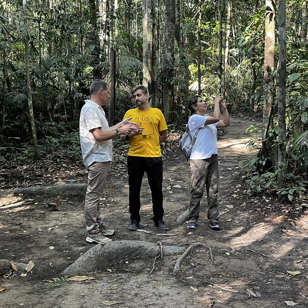Museu da Amazônia tweet media