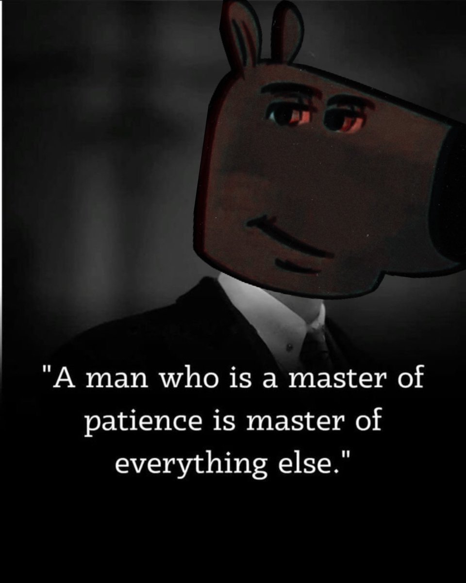 Patience is Key to Success
#chillguy