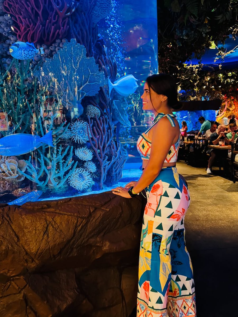 Immerse yourself in our prehistoric world! 🐠