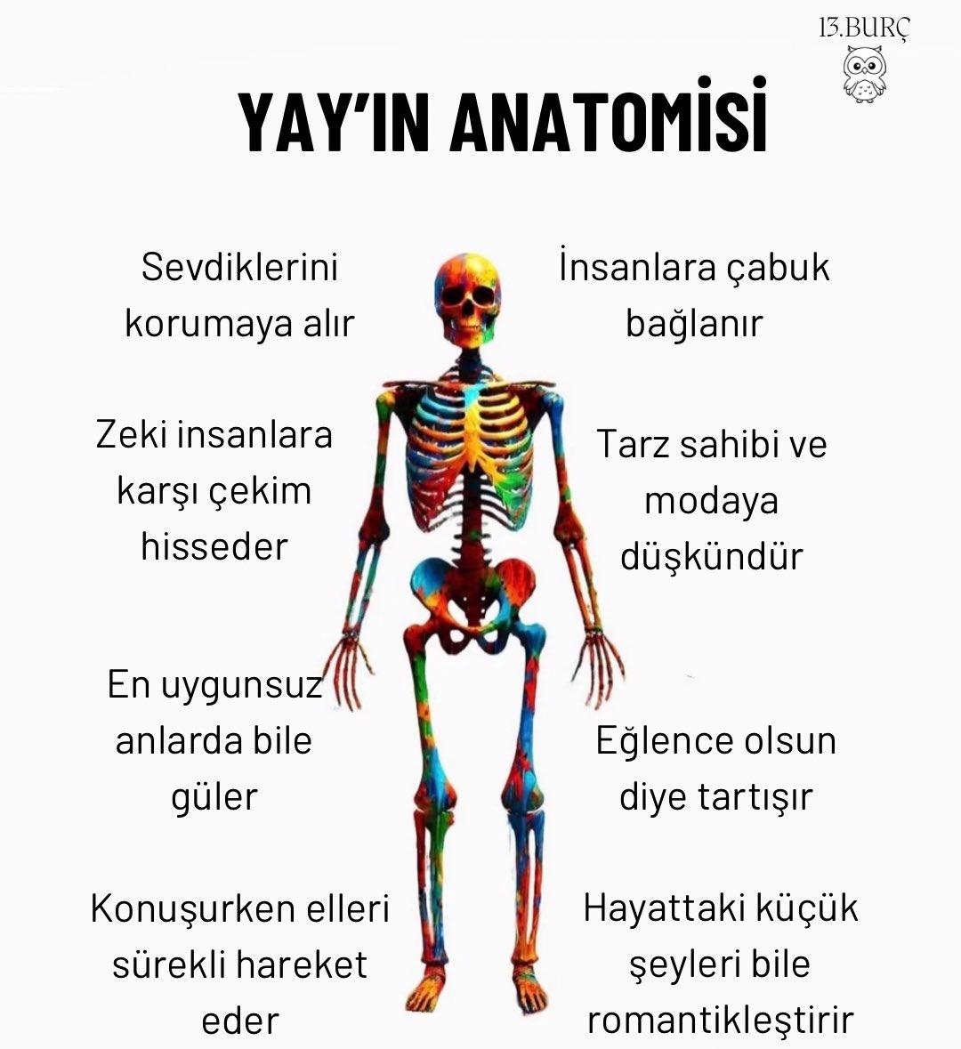 YAY’IN ANATOMİSİ