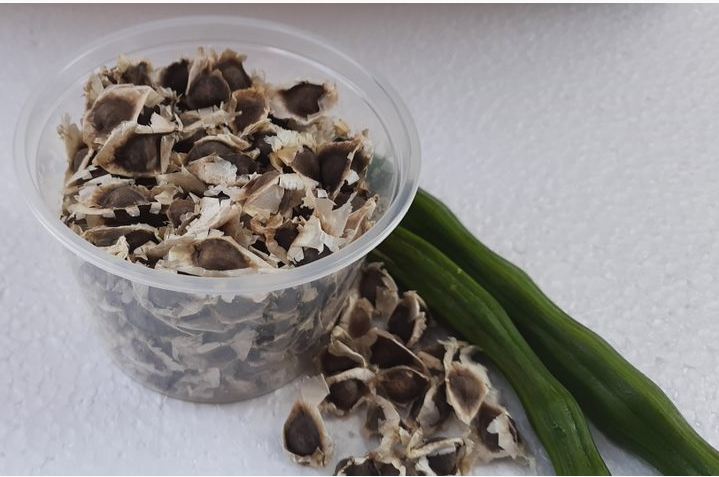 rm_exports's tweet photo. 🌱 Moringa Seeds = Survival Power!

✅ Drought-proof
✅ Grows 10ft/year
✅ Superfood seeds
✅ Purifies water
Planting:
1️⃣ Soak seeds
2️⃣ 1" deep, 3-5ft apart
3️⃣ Minimal water
4️⃣ Full sun
Grow your own nutrient factory!
whatsapp 919442773903
#Moringa #SurvivalGardening #Prepper https://t.co/tf0KmY4bqw