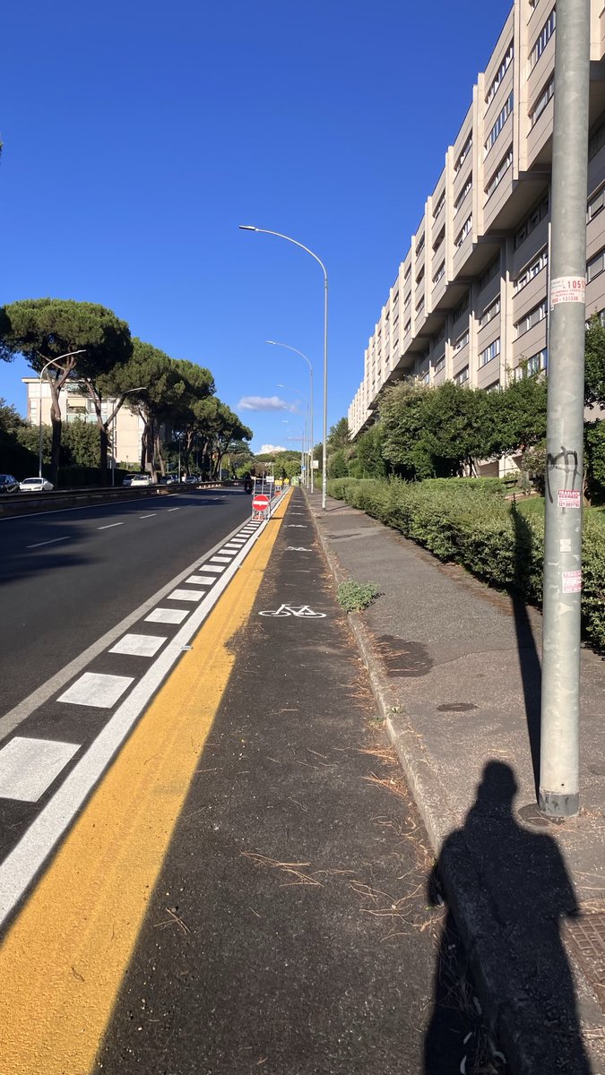 Non ci ho mai visto passare una bici..  come non le ho mai viste in tante altre vie di Roma.. 

però, fino a poco tempo fa, c’erano parcheggiate tante vetture .

Mmah.. sarò io eh.. ma a me pare un controsenso.. 🤷🏻‍♂️