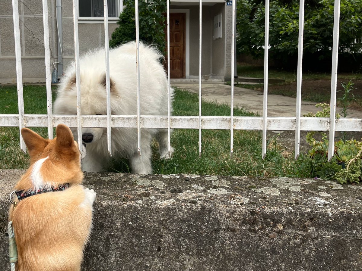 n.ever again (@nasyan) on Twitter photo 