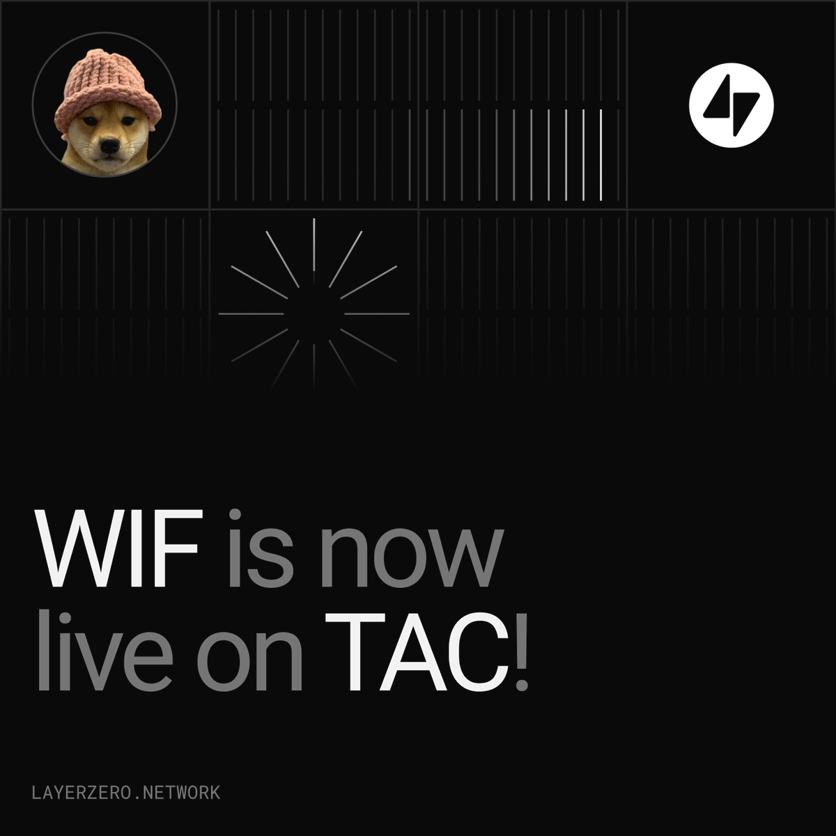 LayerZero tweet media