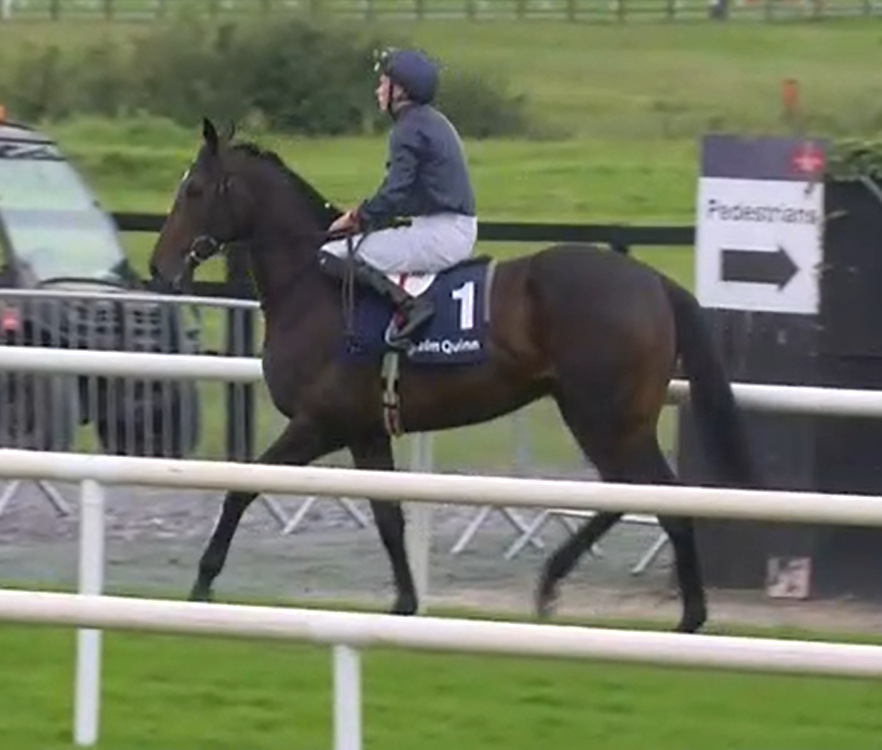 Amelia a fine looking filly by Camelot out of Venus De Milo