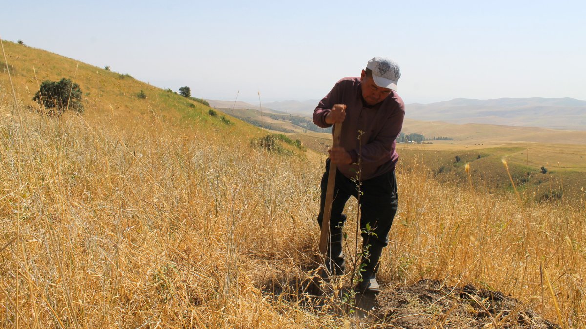 FAOKyrgyzstan's tweet photo. 🌱 During the mission to Uzgen district, Osh region Oleg Guchgeldiyev FAO Rep in Kyrgyzstan visited fruit tree plantations, where 14 ha were planted in spring. Another 10 ha will be planted this autumn under the #CSFOR project to boost resilience and rural livelihoods. #FAO80 https://t.co/yb8kGqqP5g