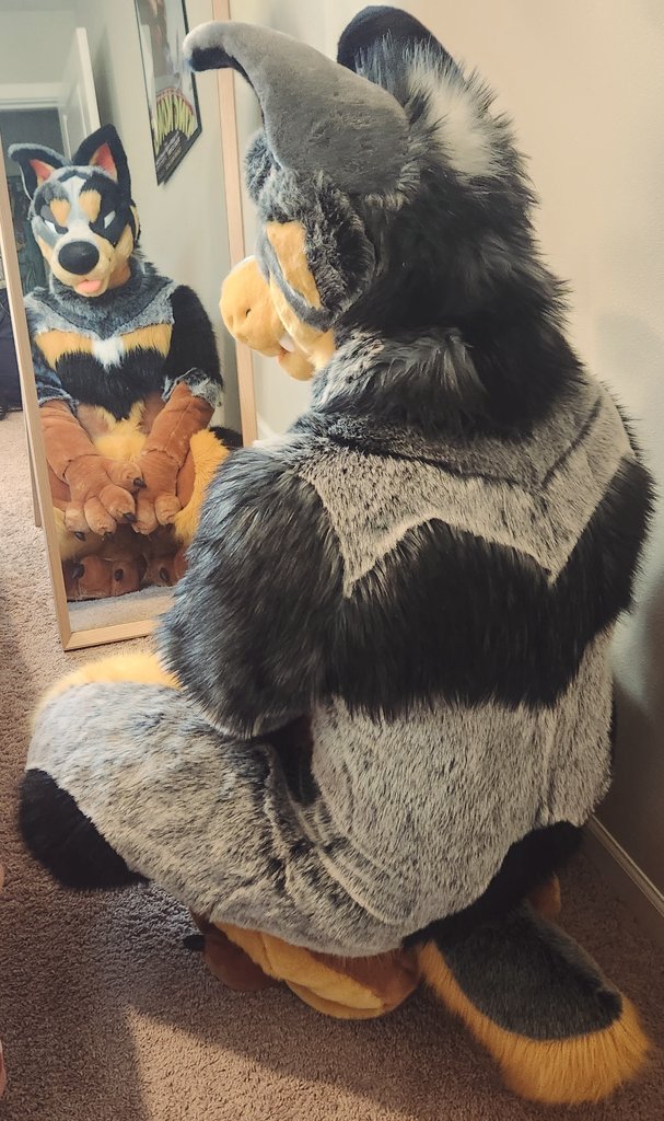 look, I can sit so pretty for you