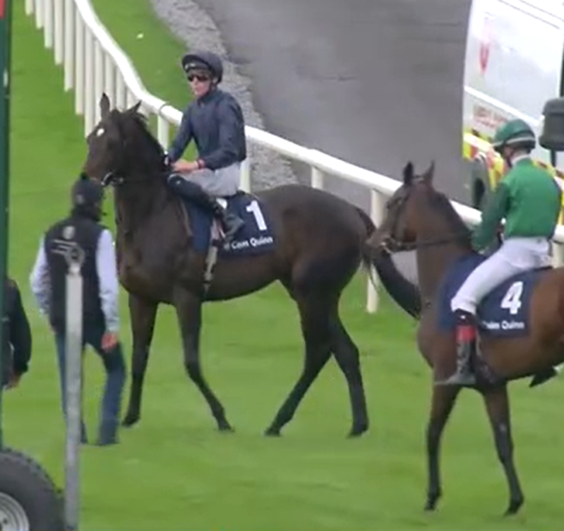 Amelia a little on her toes but very well backed seems to be confidence behind her