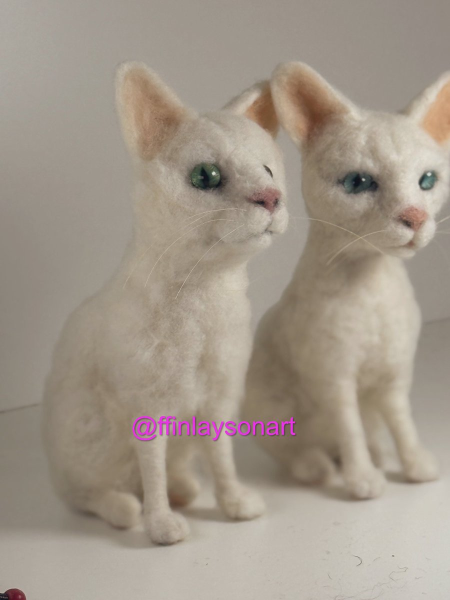 Can share these needle felted cats - a real challenge but got there in the end!