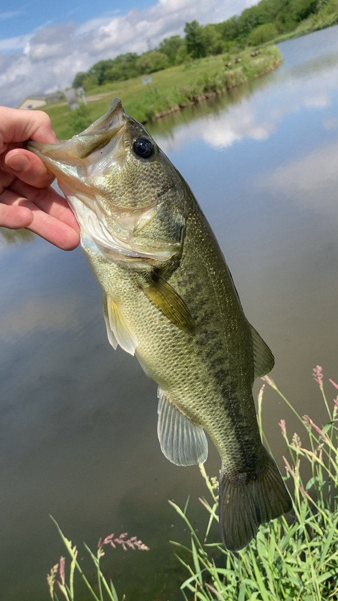 Kill_Shot_Tv tweet media