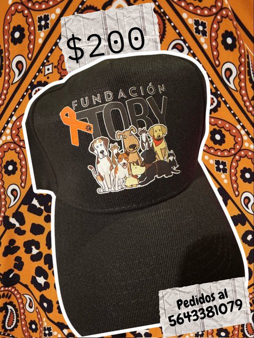 X: ustedes solo piden y piden dinero…

Los Toby: hicimos ropa de humano con diseños propios, hicimos pays con nuestras propias manos, hicimos un tarot desde cero nosotros mismos, siempre vemos que sacar a la venta según la temporada como los paraguas, regalos para papá, el kit