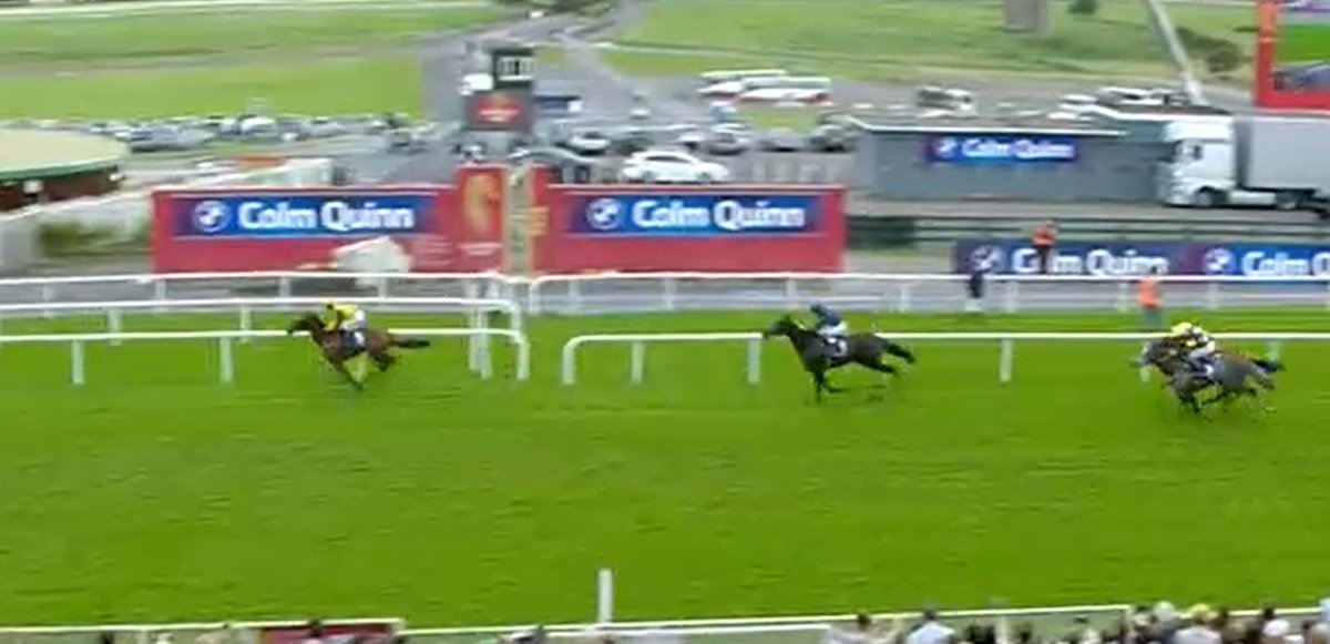OH AMELIA 

A bizarre late stumble costs Amelia Earhart victory in the 6.07 Maiden at Galway think she clipped the rail 

She is one on the shortlist for the Oaks next year