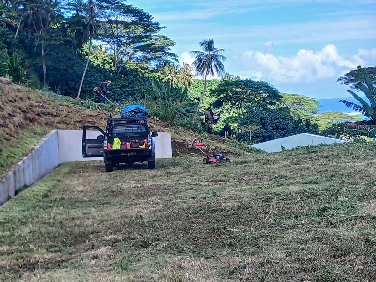 Пока мы во Франции спим спецобученные люди косят на Моореа траву
