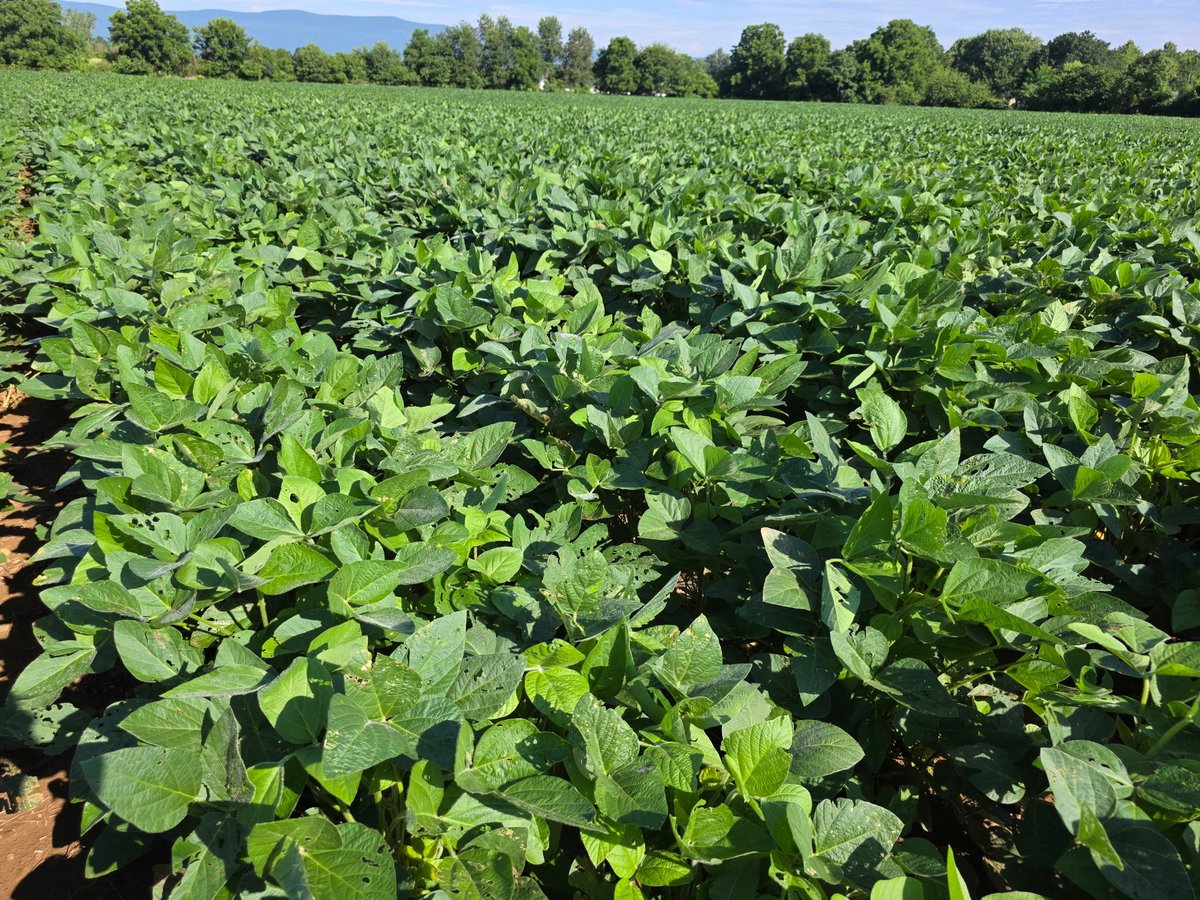 Concept AgriTek tweet media