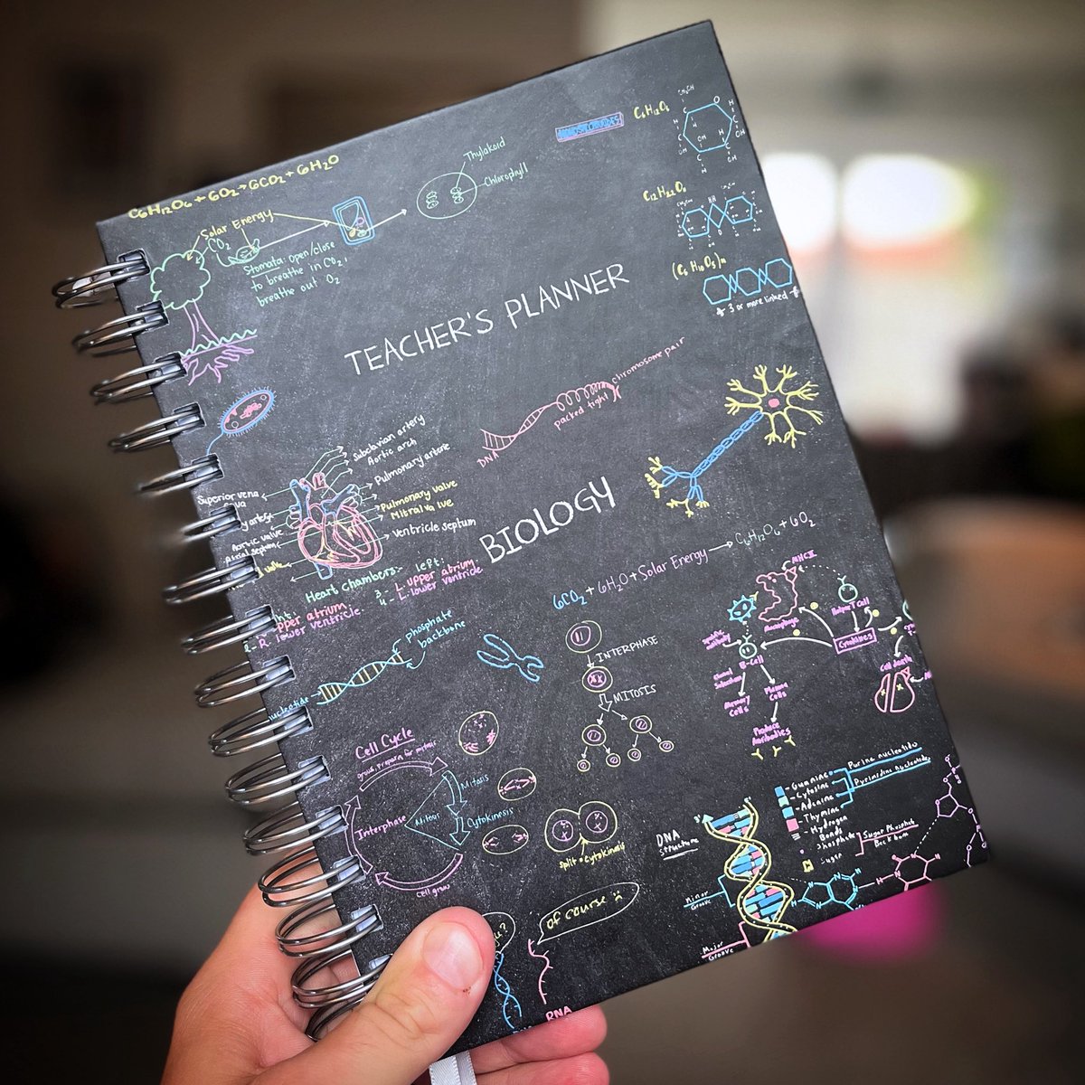 MrWindle tweet media