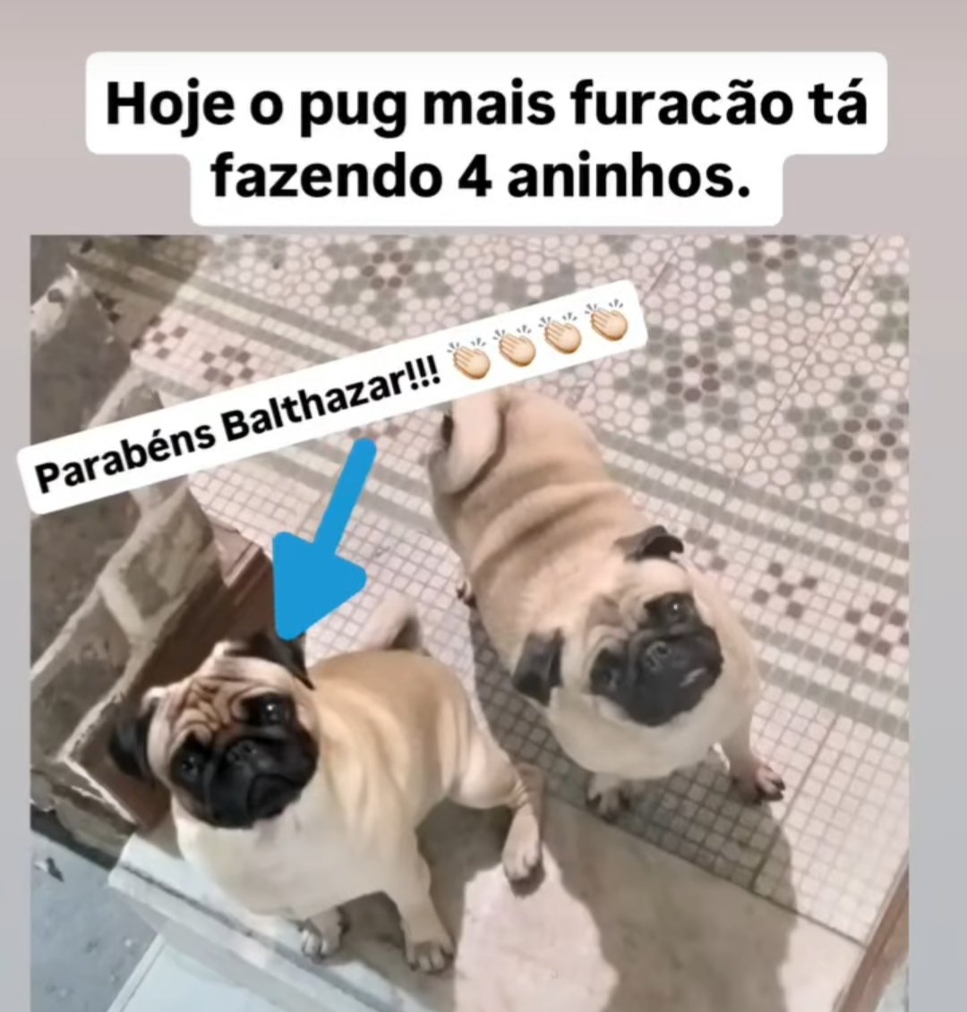 Dercy com seu namorado Balthazar! Ele tá fazendo 4 anos hoje !