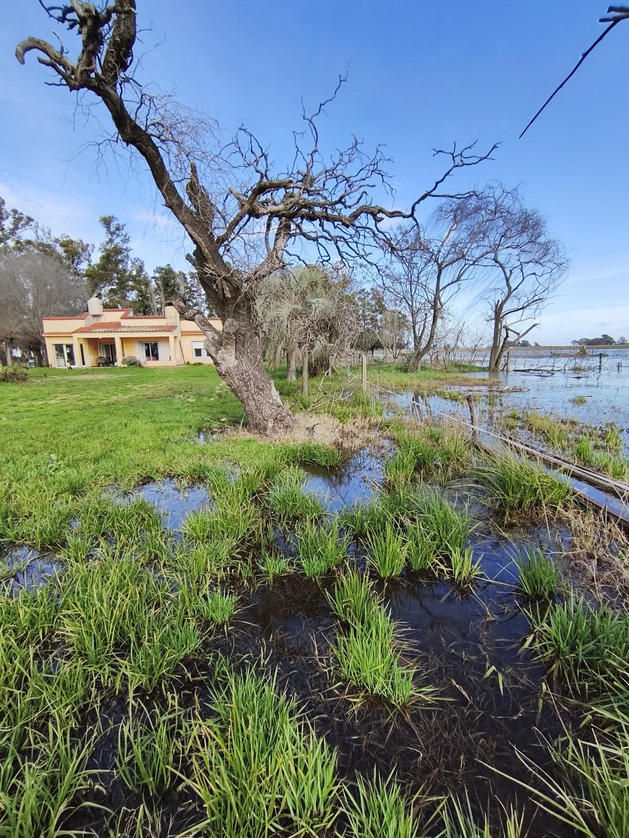 La inundación más grave de la que tenemos registro fue el 2001, nos tuvimos que ir. 
La situación hoy es igual pero en vez de ser Octubre es Julio.
Todo indica que va a empeorar y mucho y sabes que... A nadie le importa.