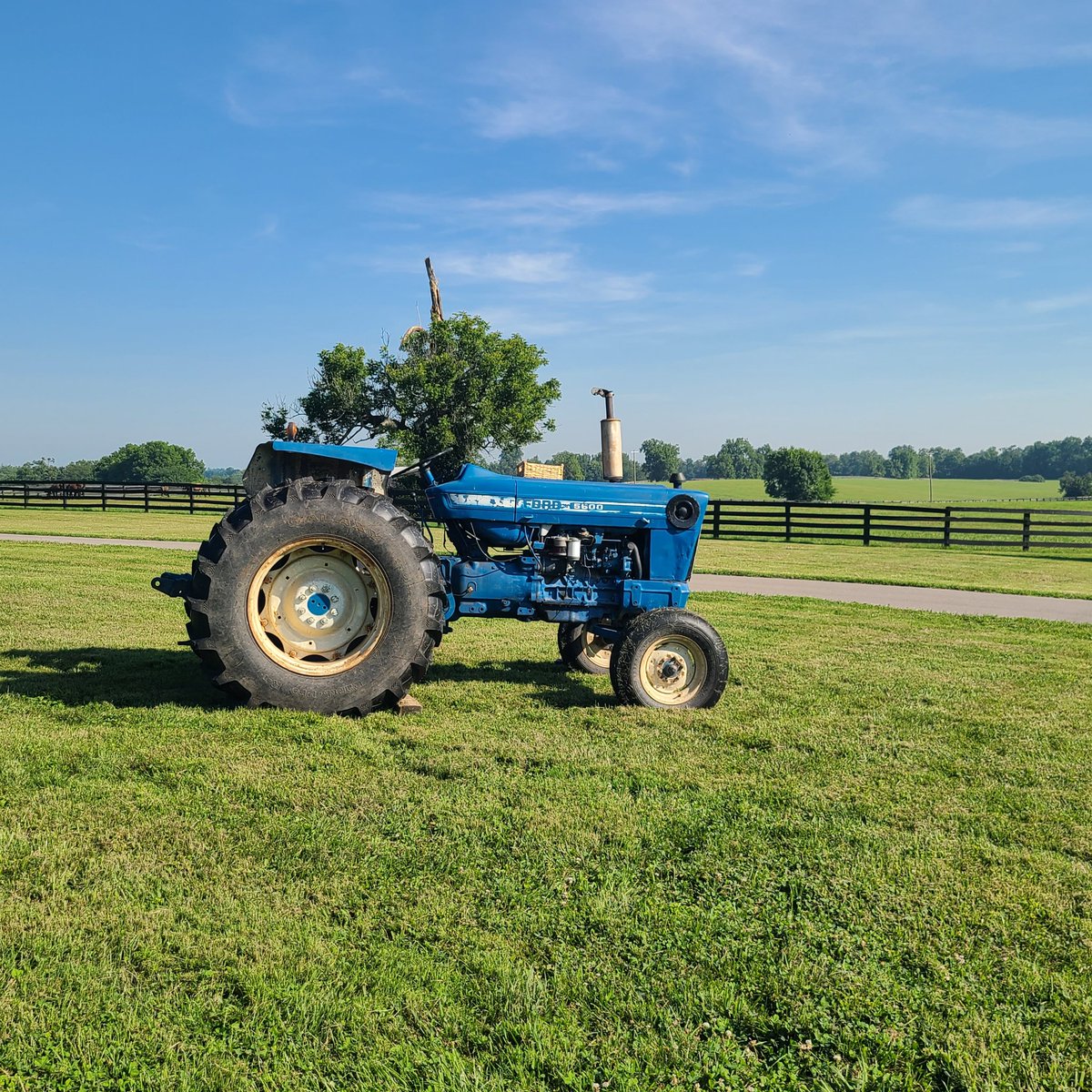 AirdrieStud's tweet photo. "This is the best day ever!!" 

Nearly 30 Woodford Co. 1st graders visited the farm last week. They ran, jumped, tumbled, smiled, and laughed for two hours. 🏆🥇🌹

We are so grateful to be able to host the school group and our own team shared in the joy! https://t.co/BO5AimED8n