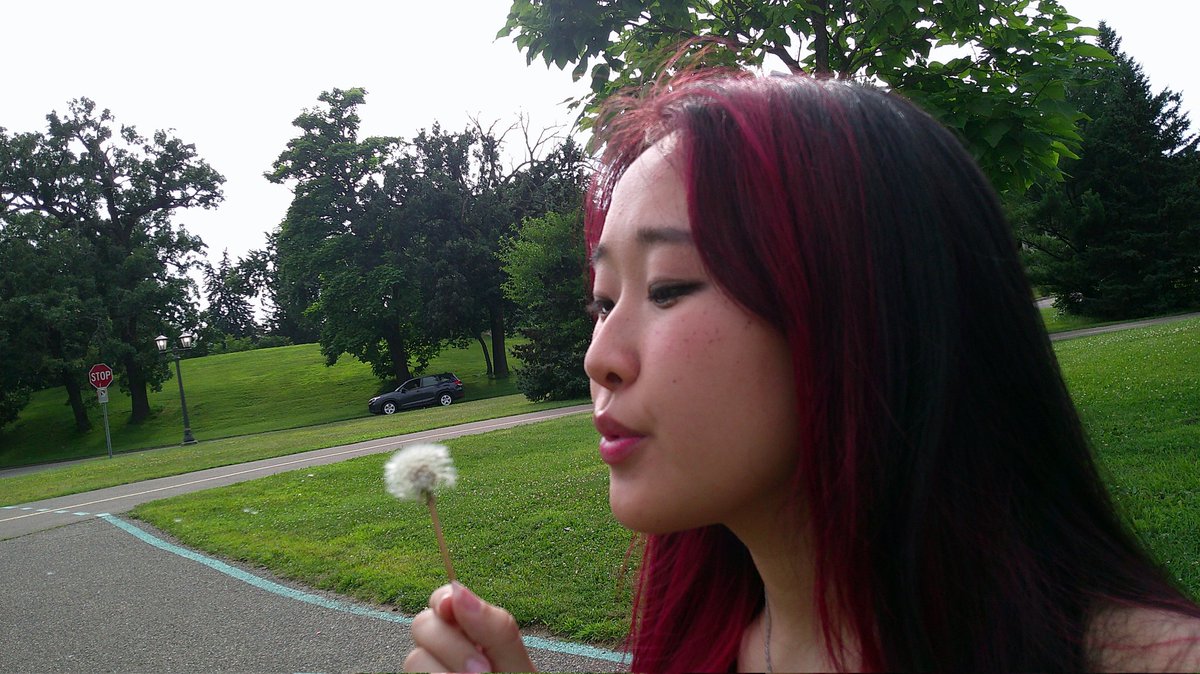 Windbeater_'s tweet image. Digicam pics ft. dandelion ✿