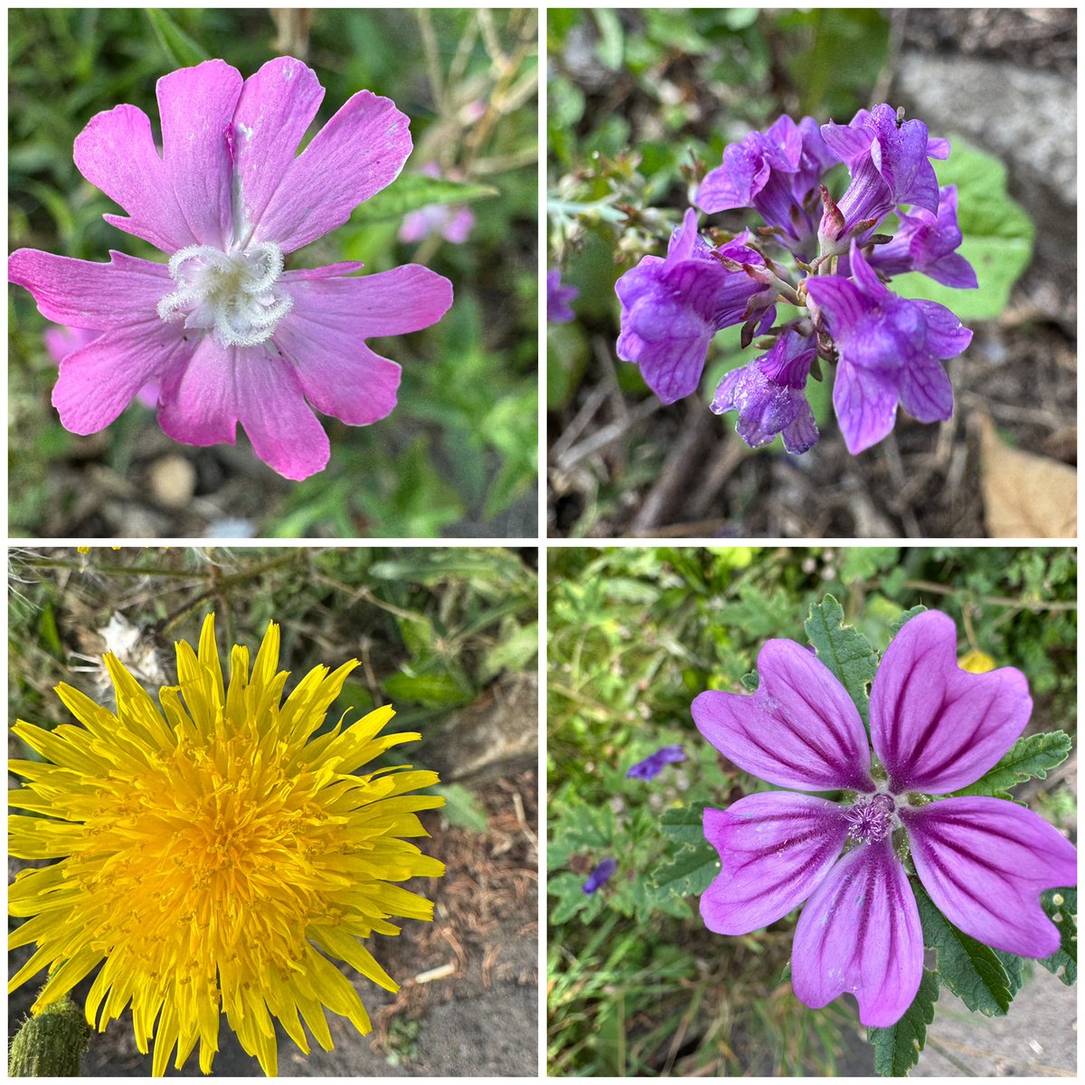 Stuart D tweet media