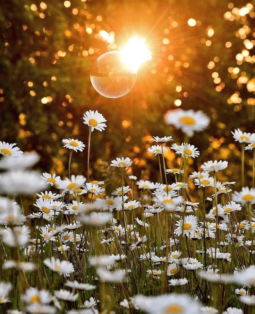 Kalbine yenilmek deyince
Aklıma kalp krizi değil de
Hep güzel şeyler geliyor
Merhamet
İyilik
Kanaat 
Tevazu 
Hak ve hakkaniyet 
Bir de dilek;
Kalbiniz bütün olsun....

Mutlu akşamlar 💜