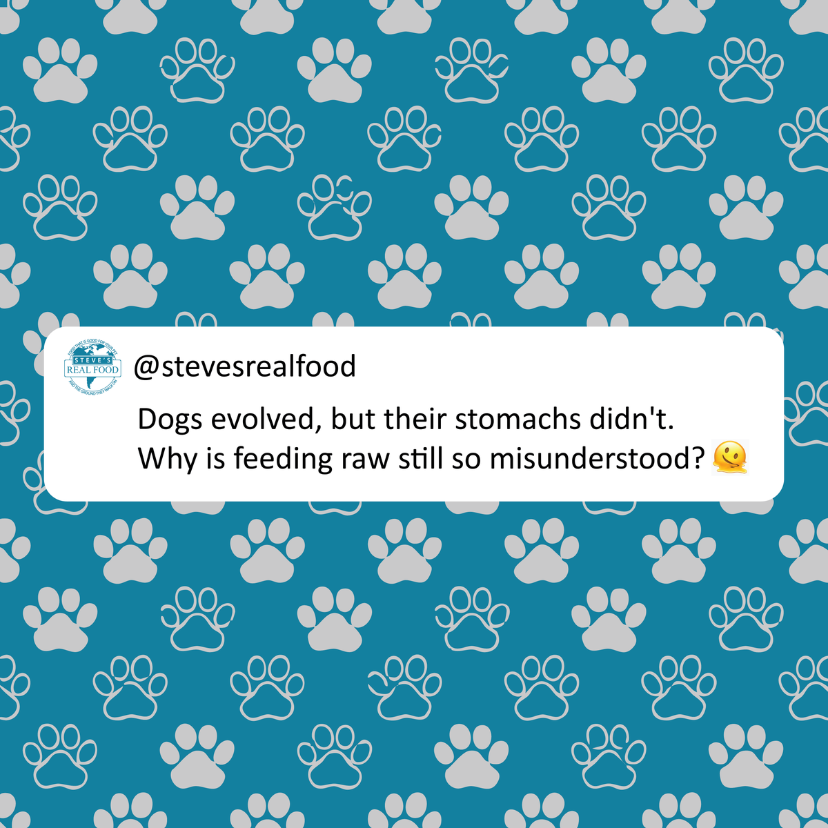 Your dog may nap on the couch, but their digestive system still runs wild—literally.
Raw feeding aligns with what their bodies were built for: natural, nutrient-dense, species-appropriate food.