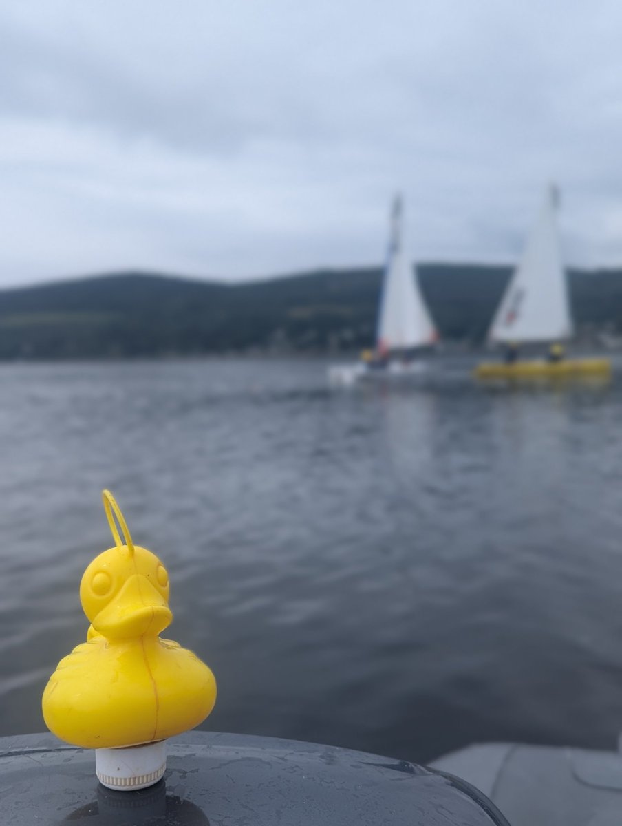 BlairvadachStew's tweet photo. Day 2 of week 2 of my #SailBV25
โ
Functional knots
โ
Sailing downwind
โ
Capsize recovery
โ
Sailing a boat
Slightly lighter winds than forecast but at least it arrived at 3pm so we get a blast at the end. ๐ค
#OnBoard @RYAScotland @AndrewSimpsonFo @RNSAORGUK #SailTogether https://t.co/2rqSnbNcRa