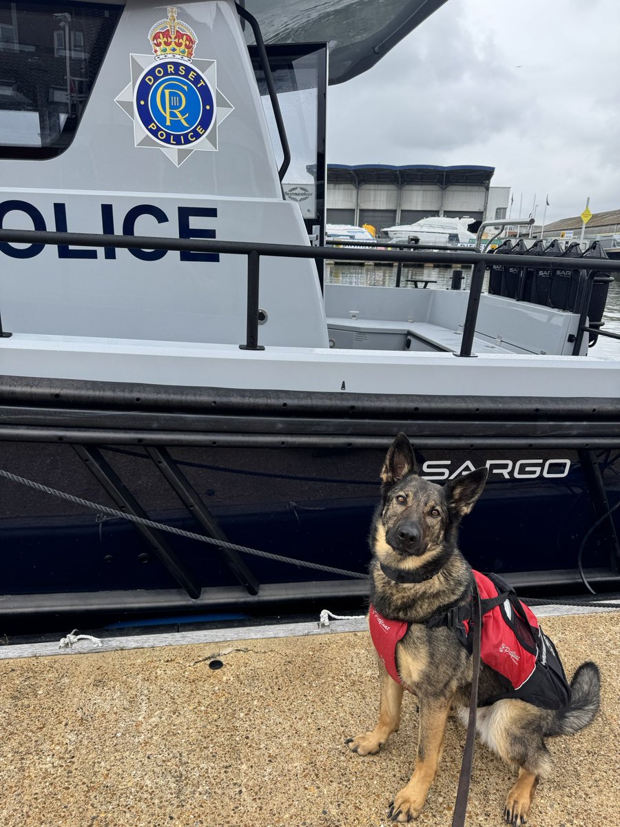 Dorset Police Dogs tweet media