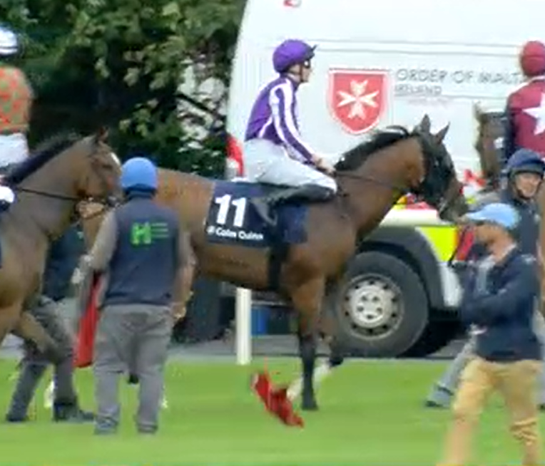 Mississippi River 

Becoming a bit of a cliff horse