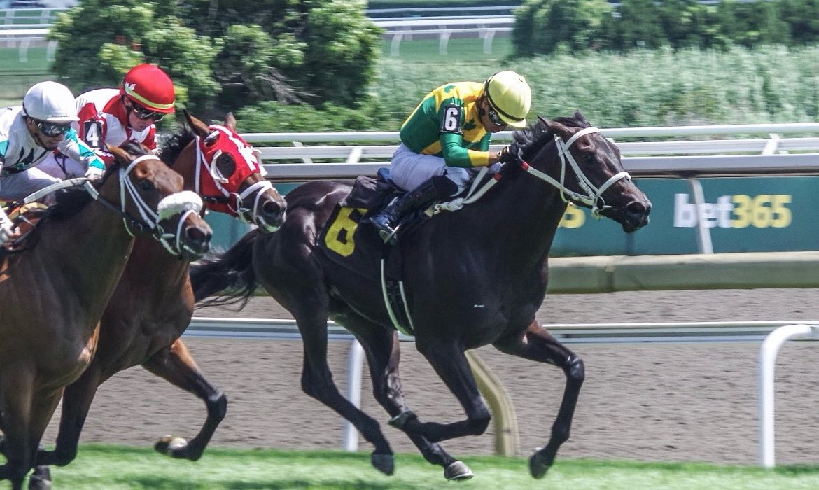 Elissa Blowe (@elissawhoa) on Twitter photo The magic of our βHoudiniβ and the Awesome Connection our team made π<a href="/WoodbineTB/">Woodbine Racetrack</a> #homebred #connect #WinningTeam #ascotthoroughbreds #kentuckybred The magic of our βHoudiniβ and the Awesome Connection our team made π<a href="/WoodbineTB/">Woodbine Racetrack</a> #homebred #connect #WinningTeam #ascotthoroughbreds #kentuckybred
