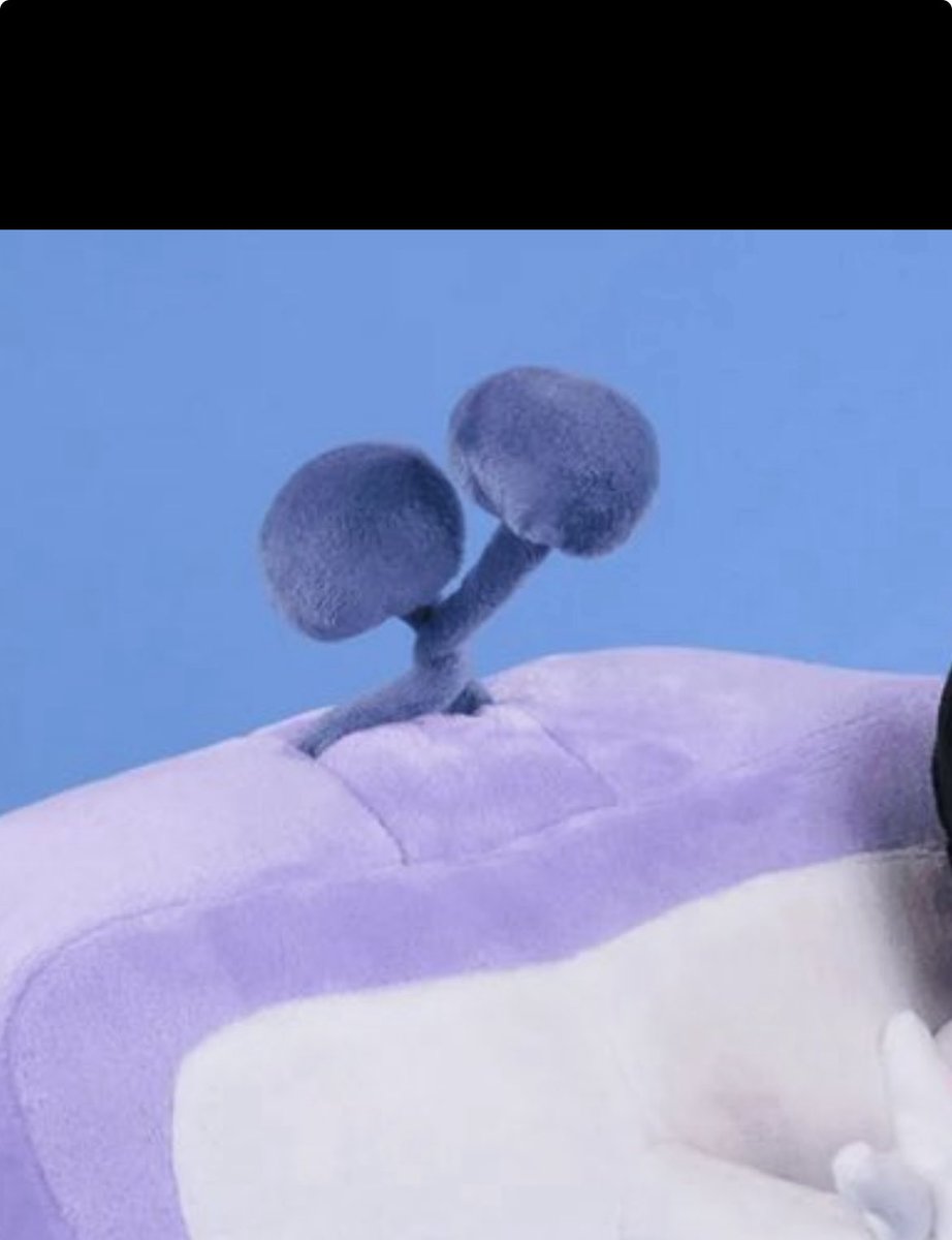 His antennas tie up … when he’s holding spamtons hand… oh…