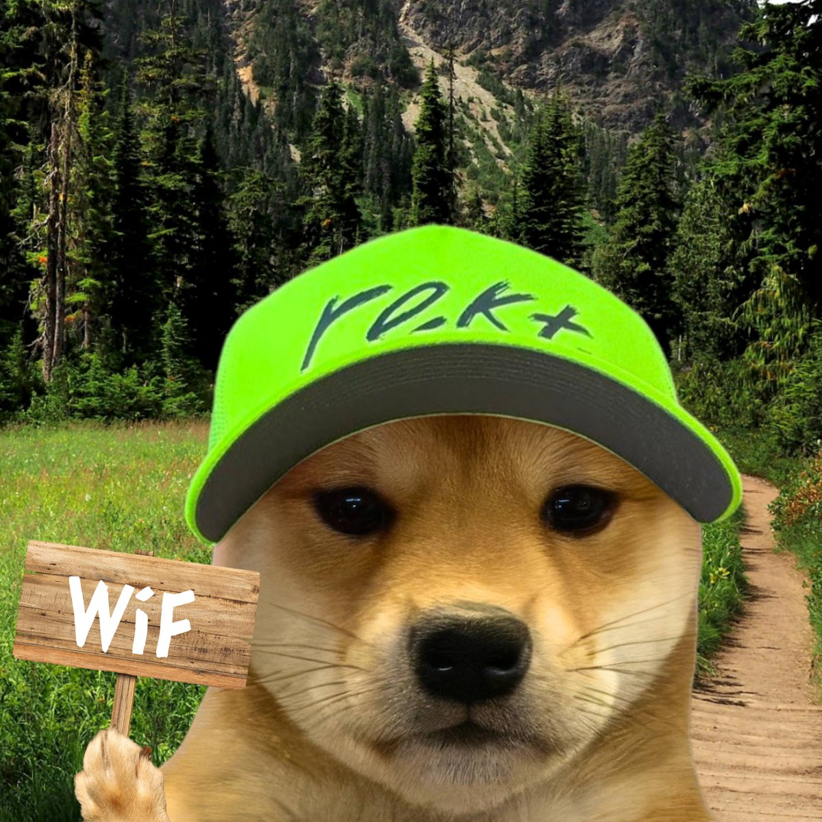 <a href="/MediaGiraffes/">UNCLE 🏴‍☠️ EDDIE 🫵😹</a> gm