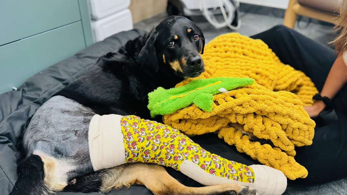 Michael Rosenbaum tweet media