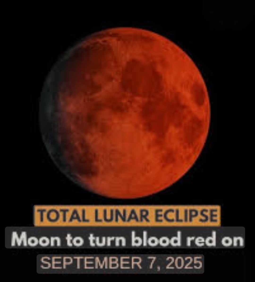 DavidsonSabita's tweet image. #Joel2v31 🌕 
#Acts2v20 🌕 
#EndTIMEsigns 🤔 💭