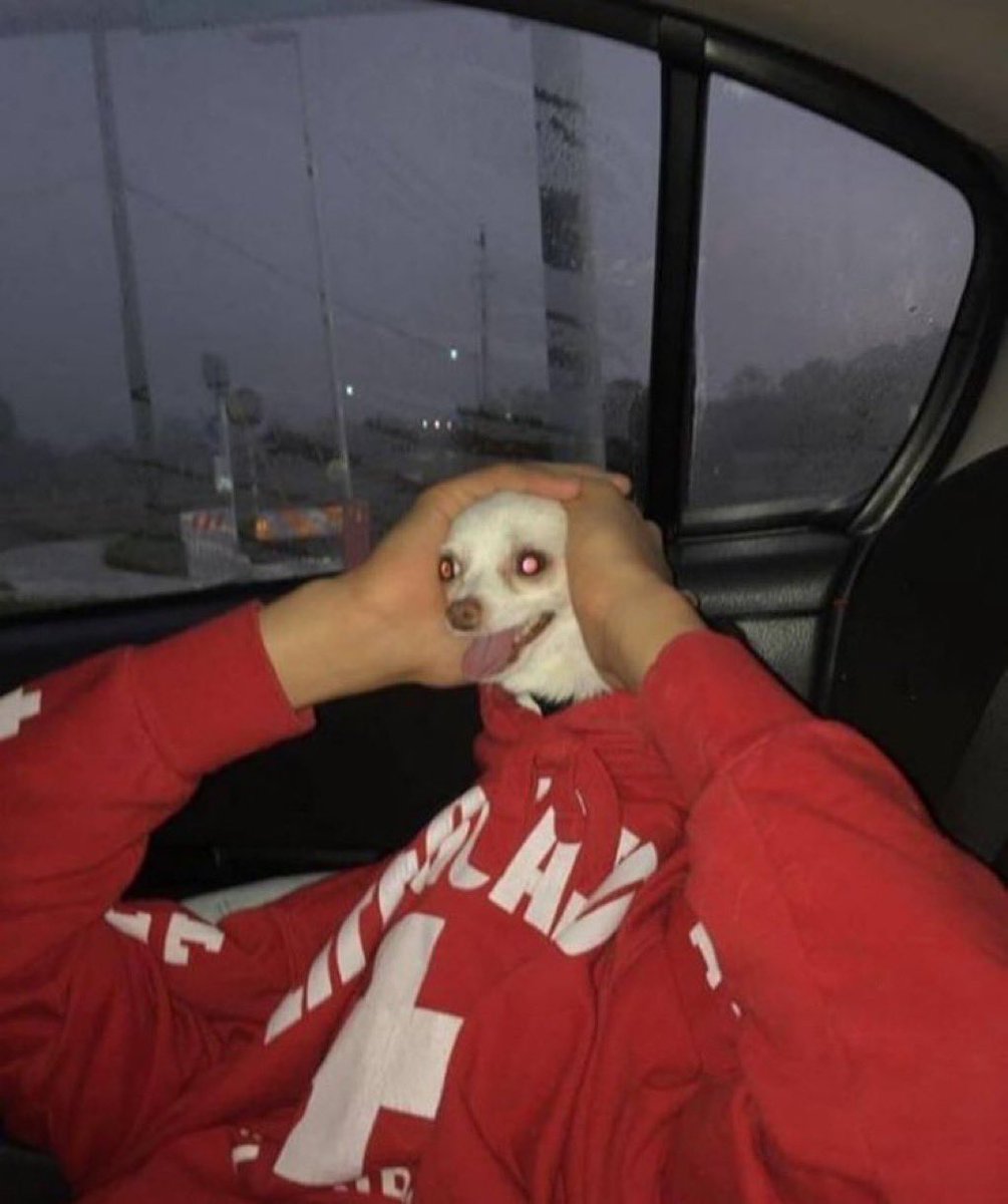 KEVbayer tweet media