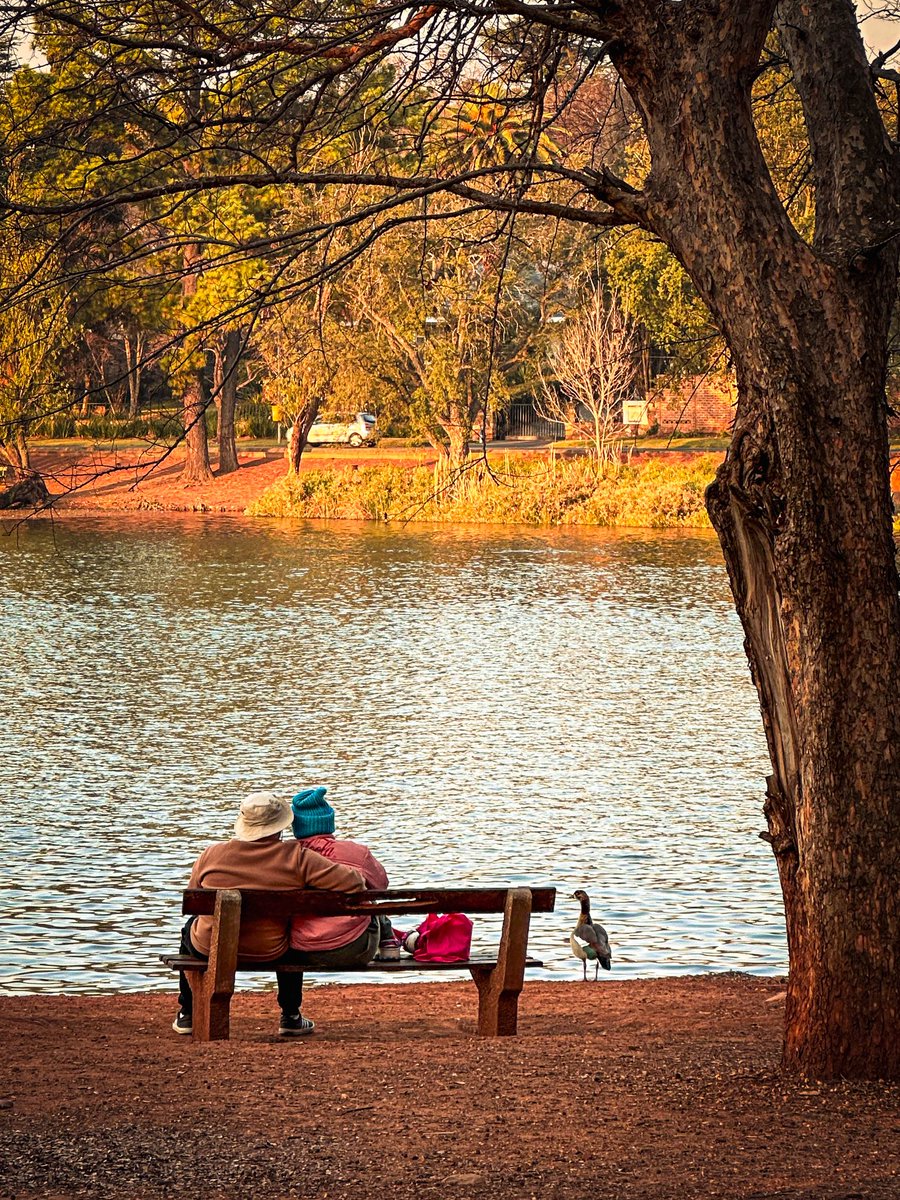 A beautiful golden hour moment captured at Emmarentia dam and Johannesburg Botanical Gardens. 📸🦆