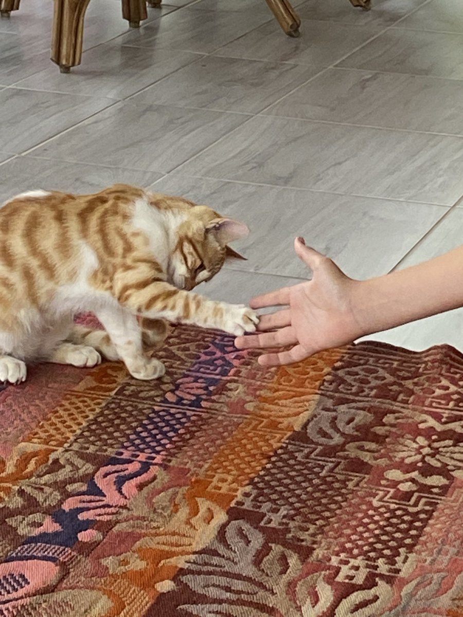 Adana sıcağı ile şu şekil anlaşamadan geri dönüyorum