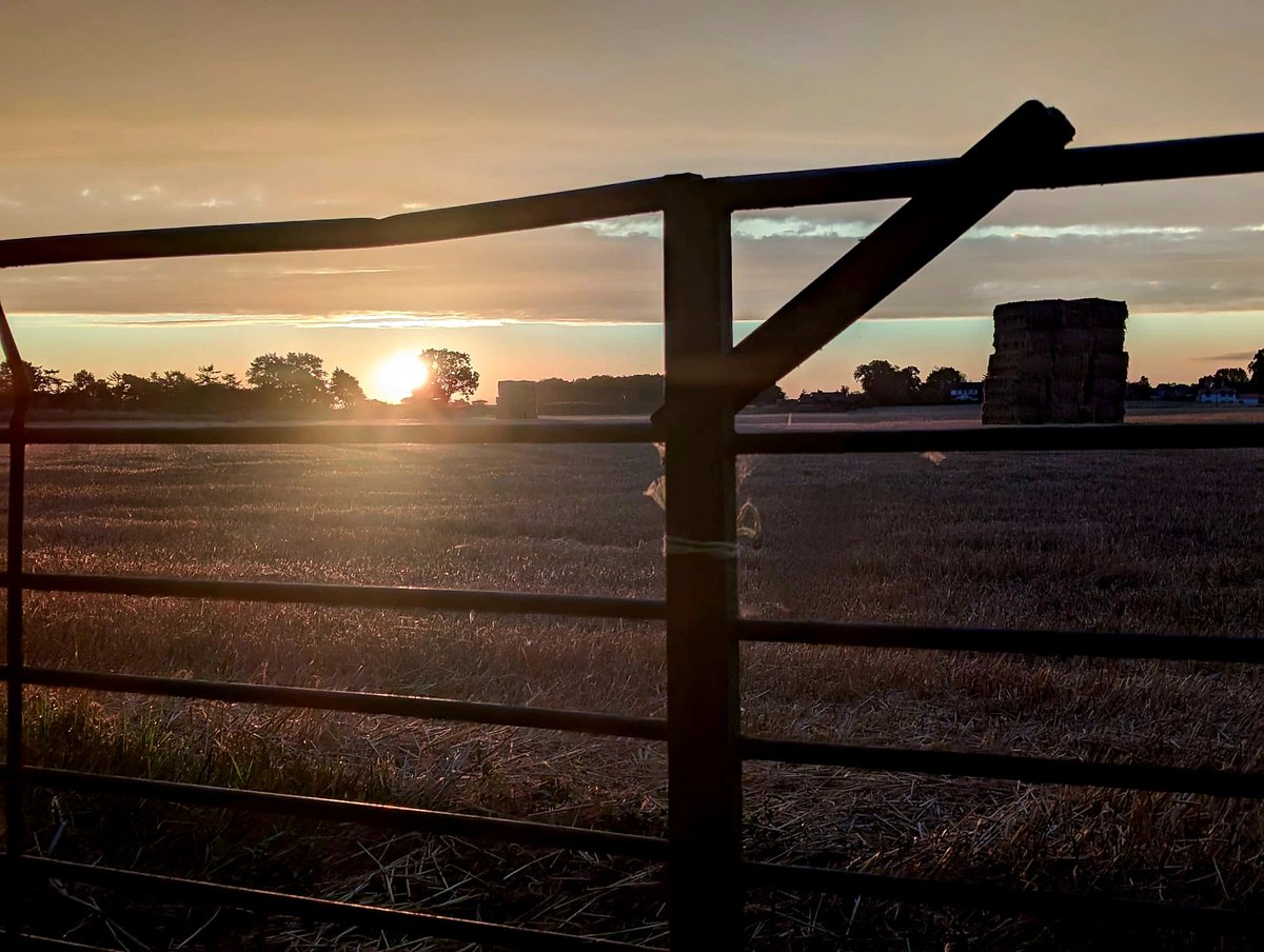 <a href="/VNYorkshire/">North Yorkshire!</a> <a href="/BFBSCatterick/">BFBS Catterick</a> Well, morning walks don't get any better at 0530..⭐️🤠🇬🇧