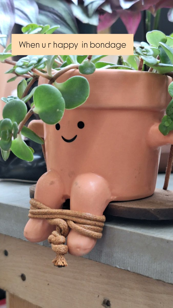 Spamsel ✪ tweet media