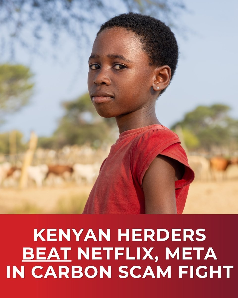 ASL_Liberty's tweet image. In order to comply with the “net zero” agenda, Netflix and Meta (formerly Facebook) have been preventing goat herders in Kenya from grazing tens of thousands of acres.

Read more here: americanstewards.us/conservation-v…

#LibertyMatters #NetZeroScam #Kenya #propertyrights #ranchers