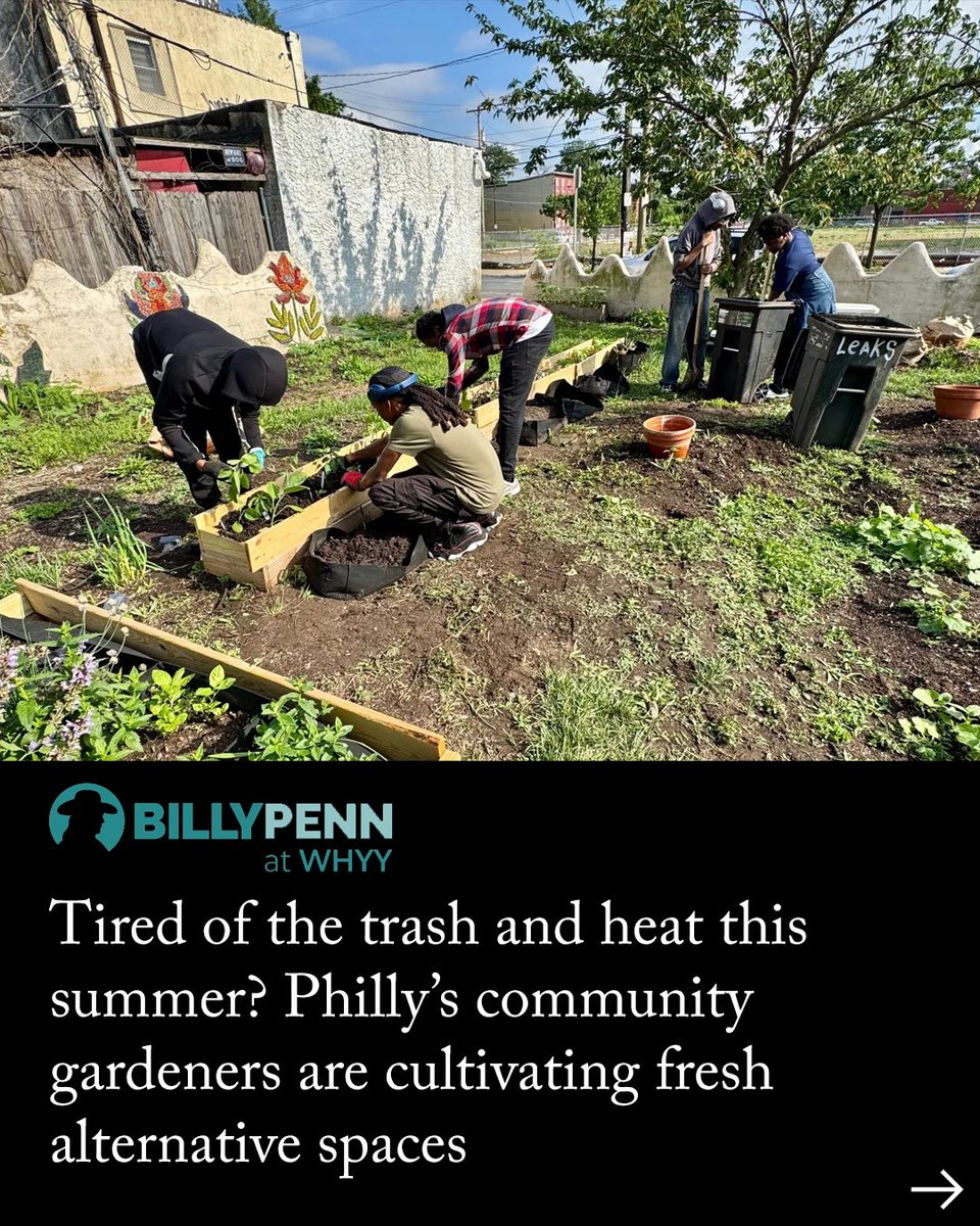 Public Interest Law Center tweet media