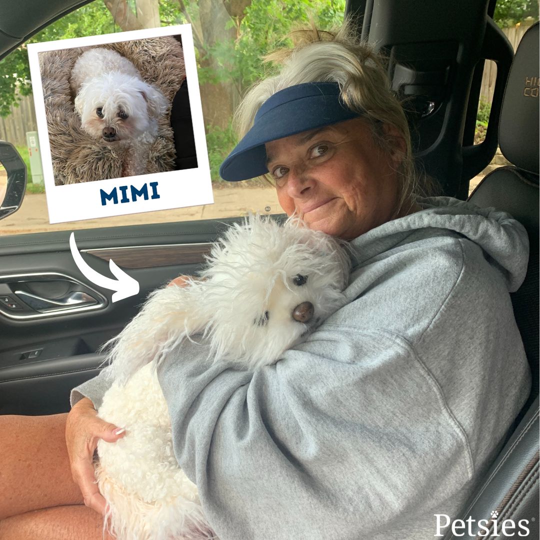 Mimi was almost 20 when she passed." She traveled everywhere with us &amp; was very spoiled. My brother had his dog done by Petsies &amp; i literally thought they had gotten another dog. Just seeing her in the house on her little bed brings such a warmth to me and our home." 🥹💙