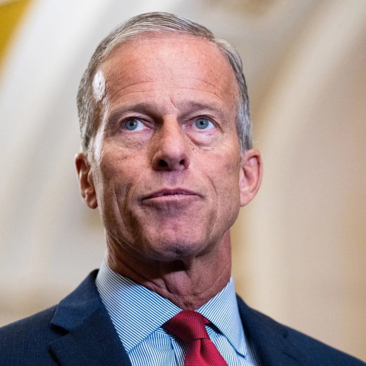 🚨 Leader Thune is a SELLOUT and a FAILURE! 

He will NOT cancel the August recess like Trump asked him to do.