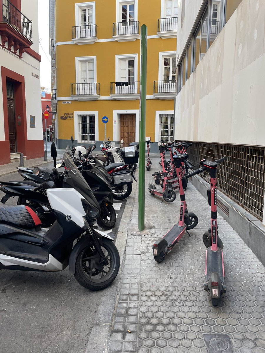 Isabel MN tweet media