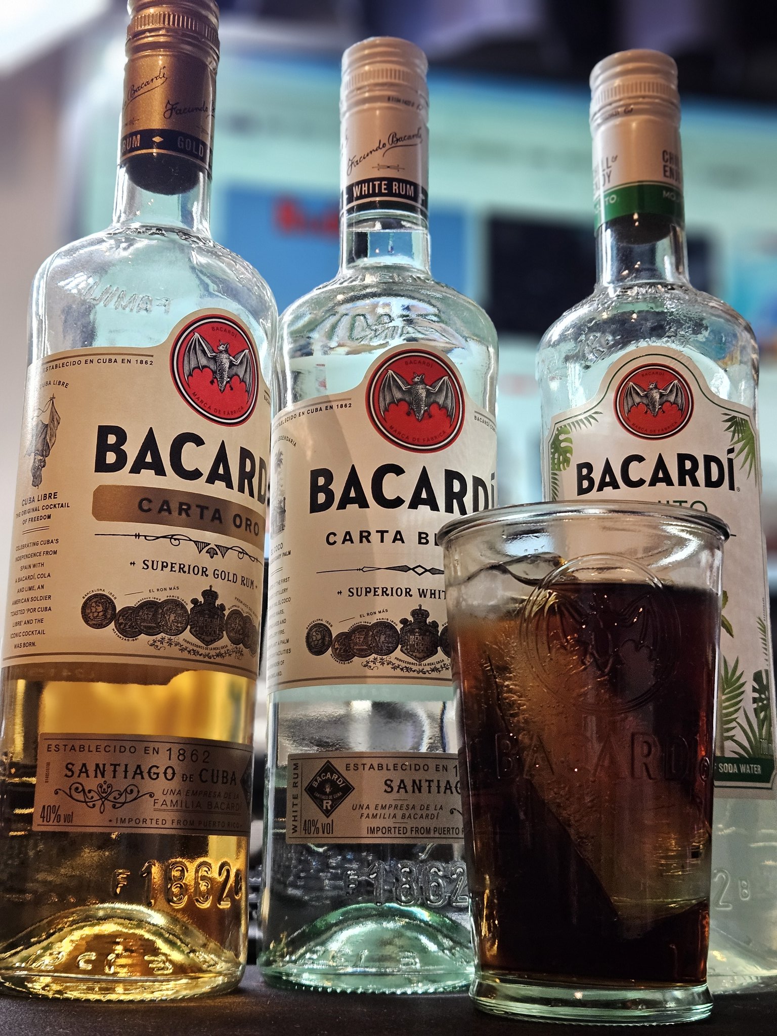 【非売品　新品未開封品】Bacardi　バカルディ　ロゴ入り限定パナマハット バカルディ ホワイトラム 【焼酎・地酒の専門店】