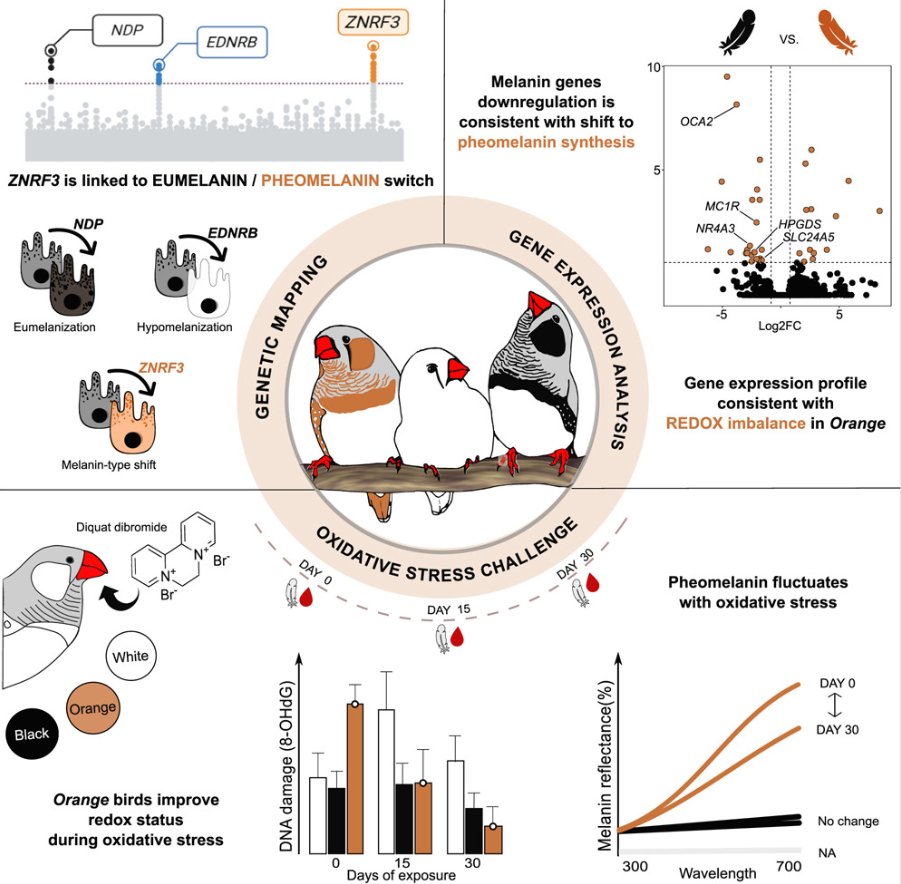 CristianaMarques tweet media