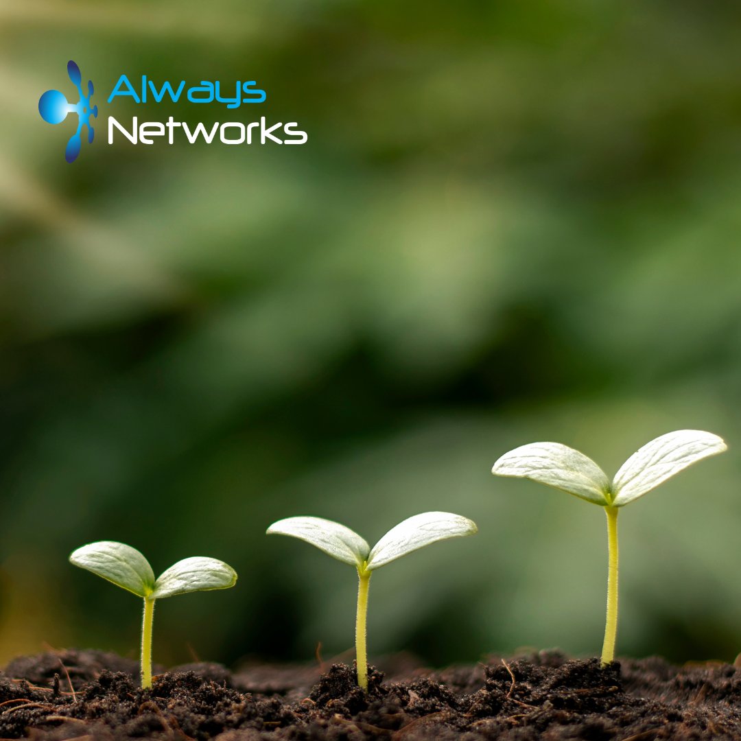 Growing from 10 to 25 staff? Your IT needs to grow too. File sharing gets messy, security becomes critical, and that old server starts struggling. Plan your tech upgrade before you need it, not after it breaks. Get in touch. #BarnsleyIsBrill #YorkshireBusiness #Growth