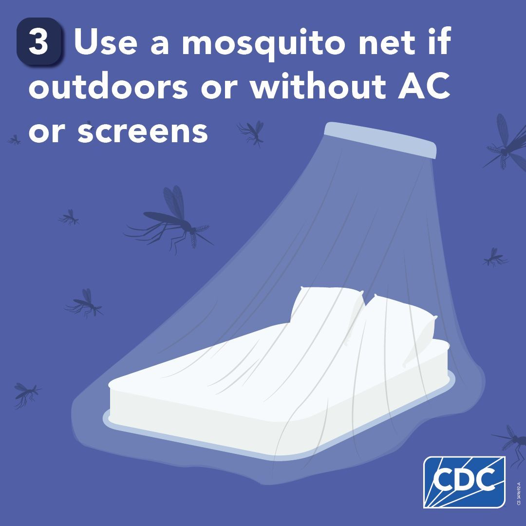 Dengue viruses are spread by mosquitoes in most tropical &amp; subtropical regions of the world, including popular tourist destinations.

Plan ahead before traveling: find out if an area is at risk for dengue &amp; prep to prevent mosquito bites.

bit.ly/CDCDengueRisk
