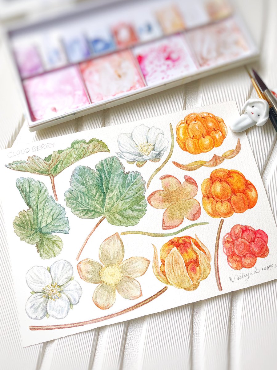 Walliya_pinkyart tweet media